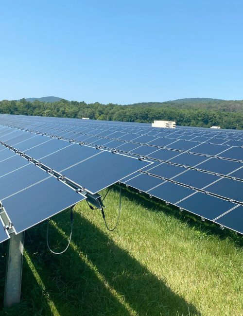 solar-panels-catch-some-sun-on-a-large-solar-farm-2026-01-08-08-02-08-utc